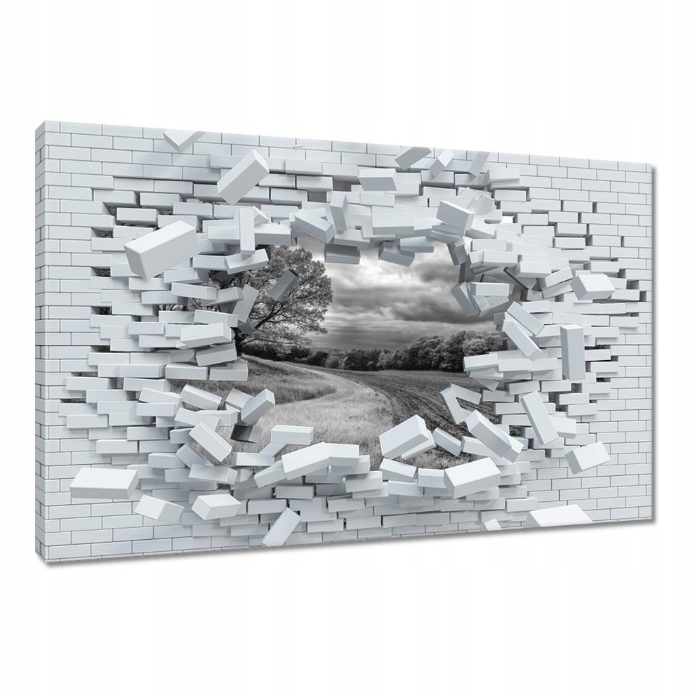 

Obrazy 60x40 Czarno białe pole