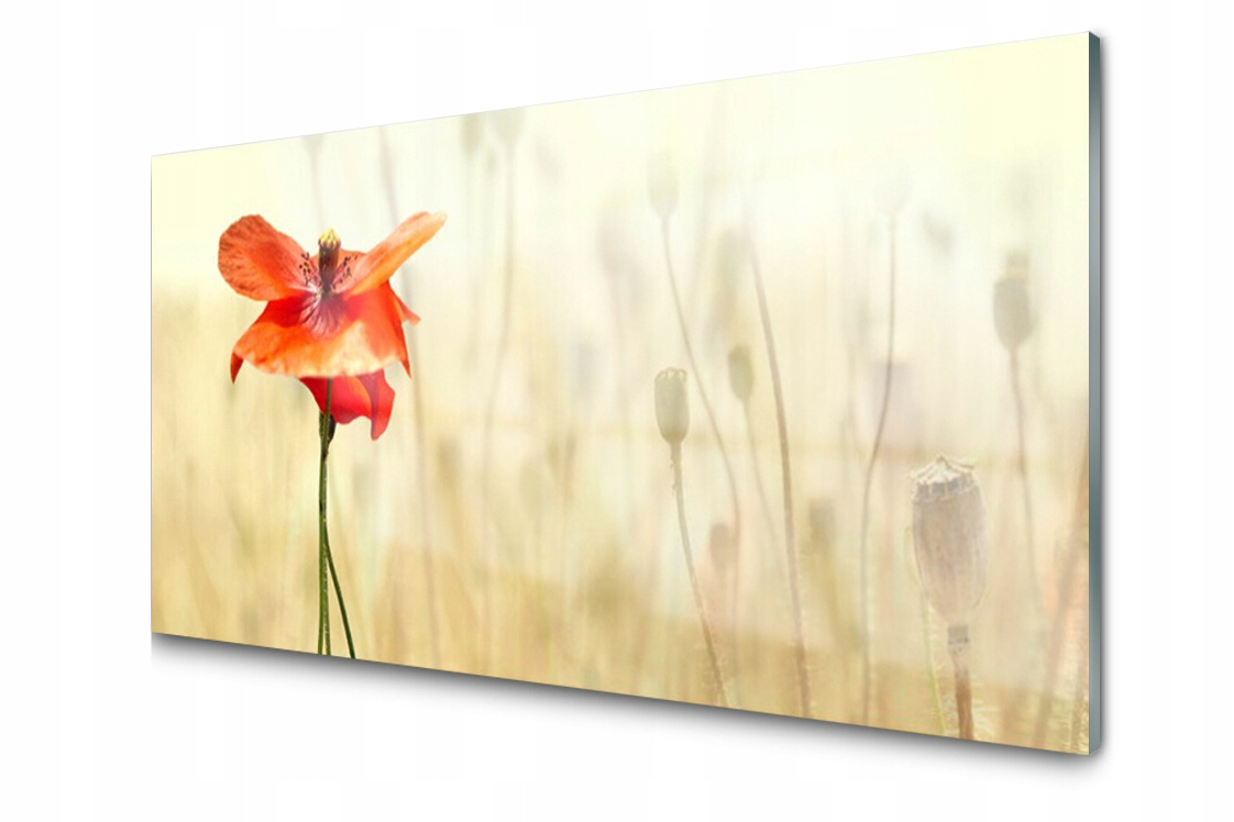 

Panel szklany dekor Maki Roślina 140x70 + Klej