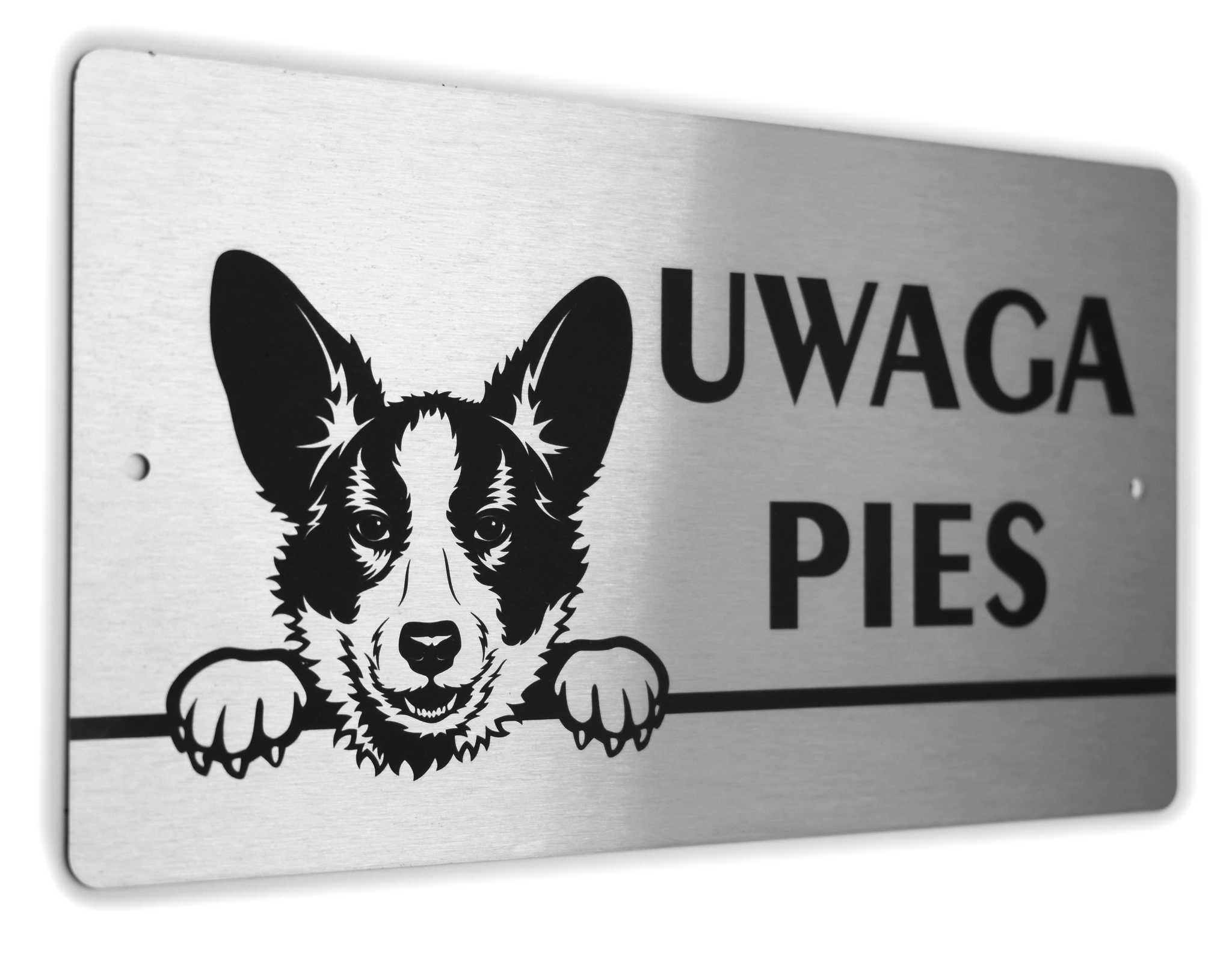Tabliczka INOX - UWAGA PIES - Welsh Corgi Cardigan