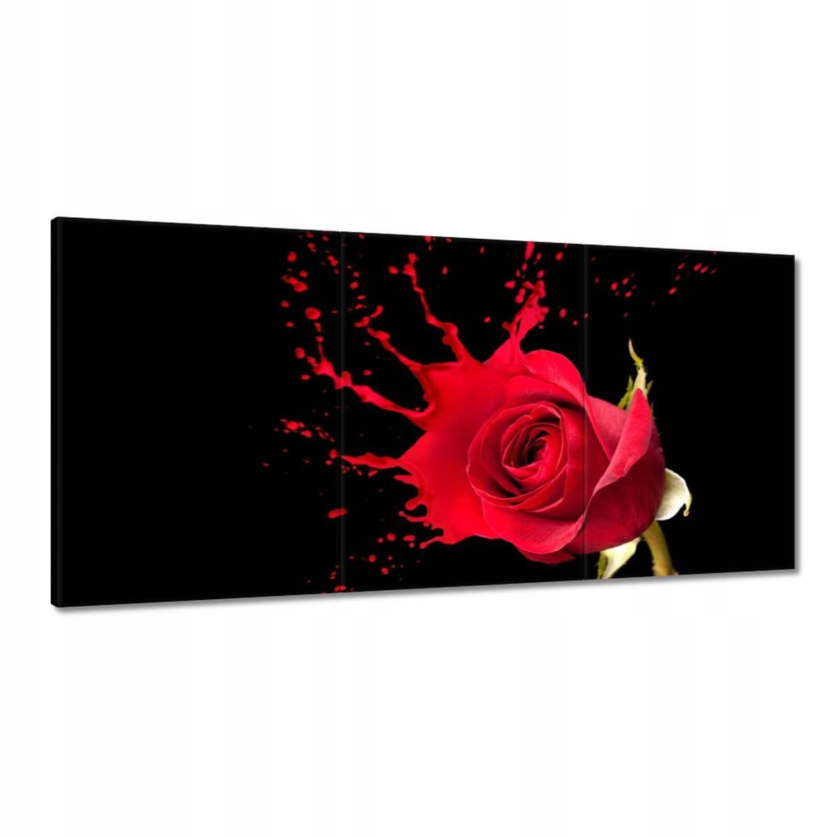 Obrazy 180x90 Rozstrekujúca sa ruža