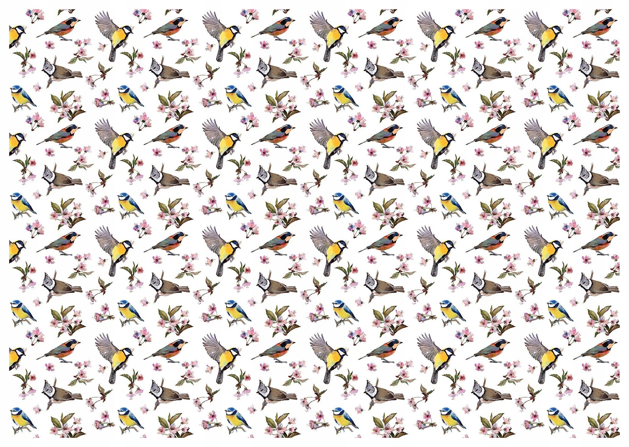 Fototapeta Flizelina Kvetoucí višeň s ptáky jarní motiv 300x210 lepidlo