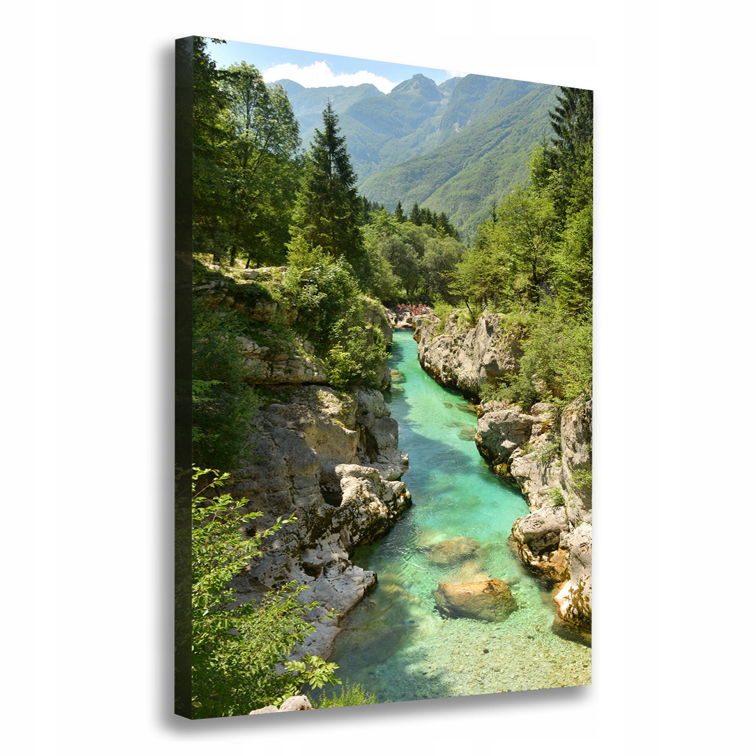 

Foto obraz canvas do salonu Potok górski 70x100