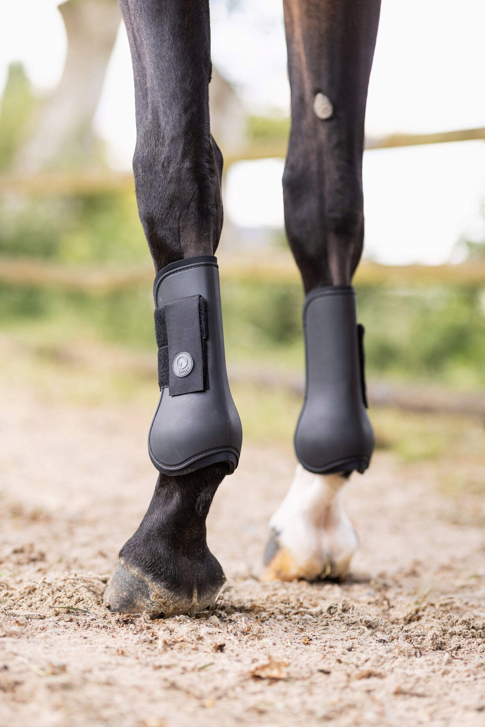 Horze Ochraniacze Tendon, przednie Czarne x-full