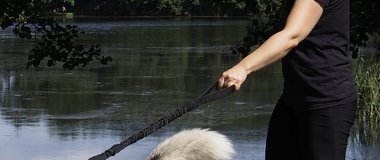 HIFICA SOFT WALK 2.2PP 40 Smycz Amortyzator Długa Model Soft Walk 2.2 PP