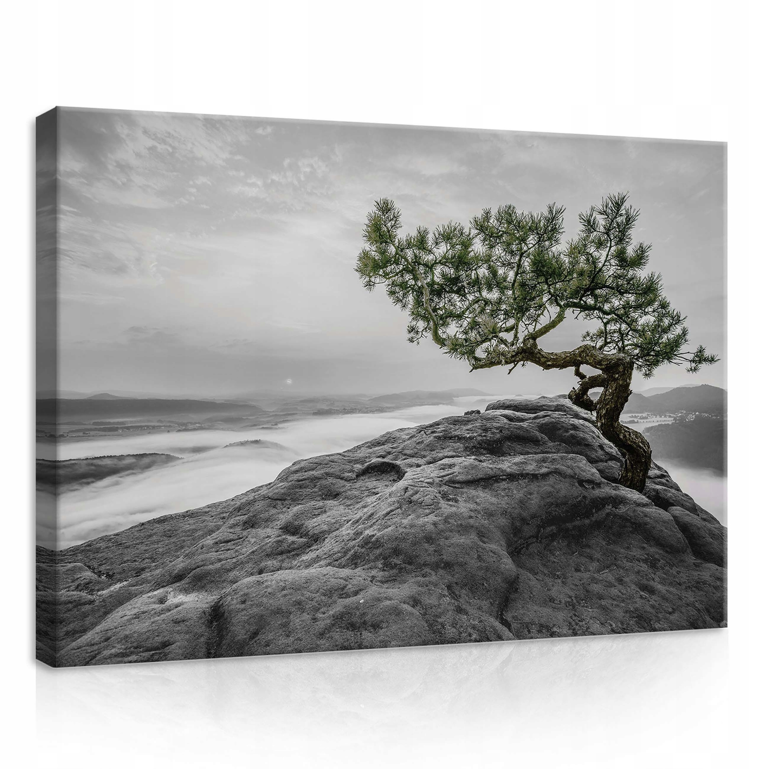 Obraz 70x50 Osamělý strom skála mlha údolí klid ticho příroda