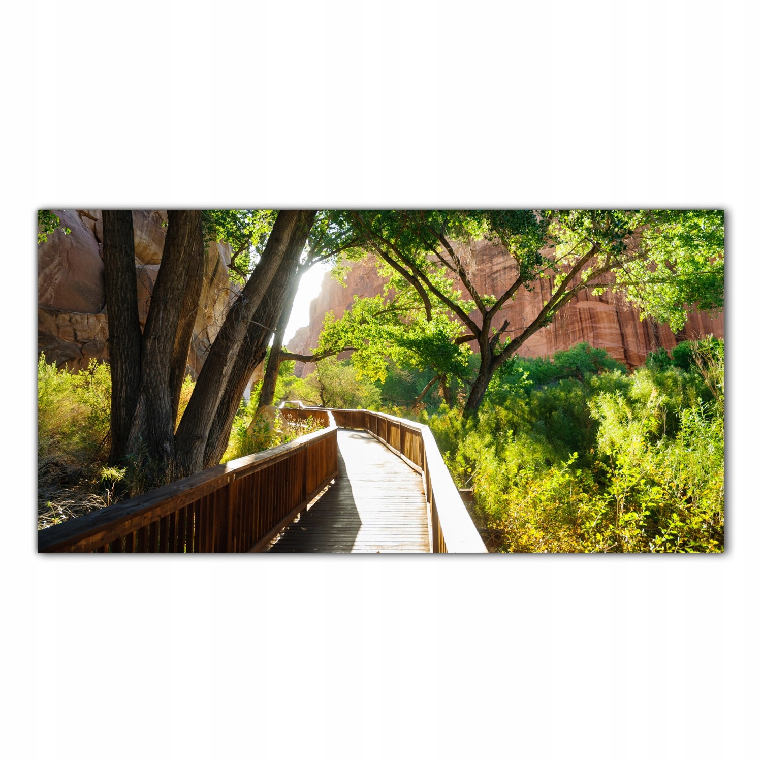 Národní park Rafa 100x50 Panely tvrzené sklo