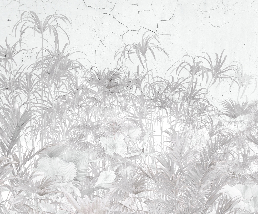 Fototapeta Šedé rastliny 300x250 vlies 230 g