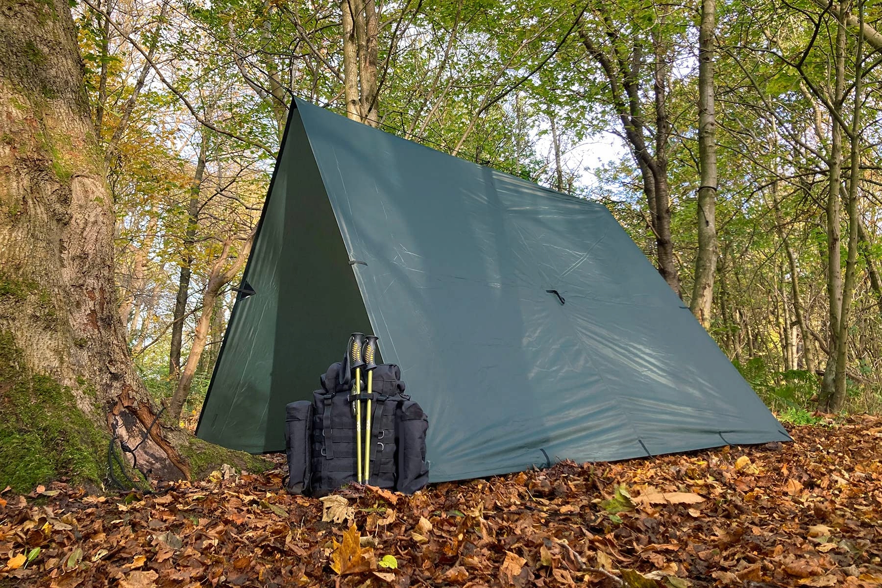 DD TARP XL Zielona Płachta Przeciwdeszczowa Namiotowa 4,5 x 3 m — miniatura 5