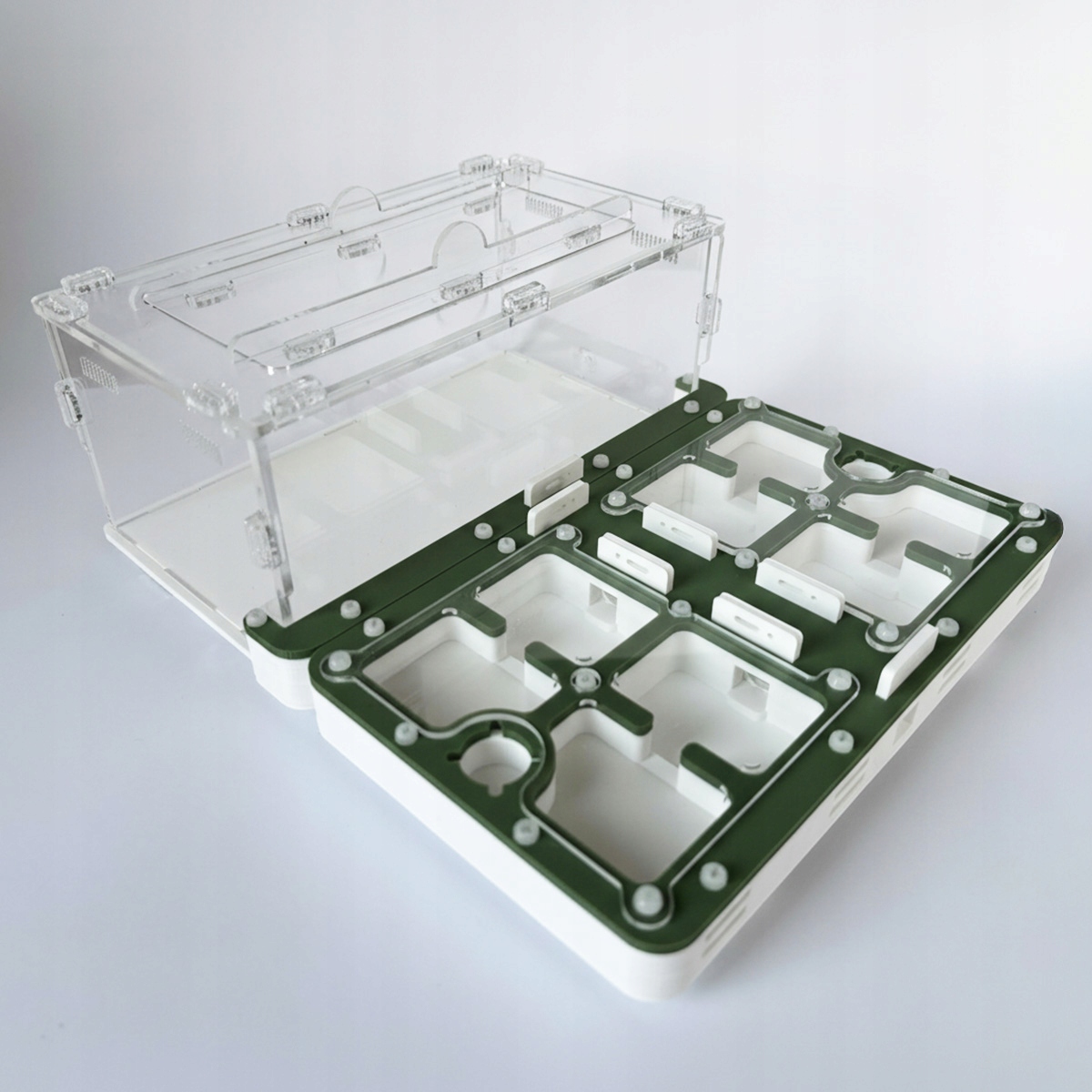 Formikarium s otevřenou sádrou Antgard Pro