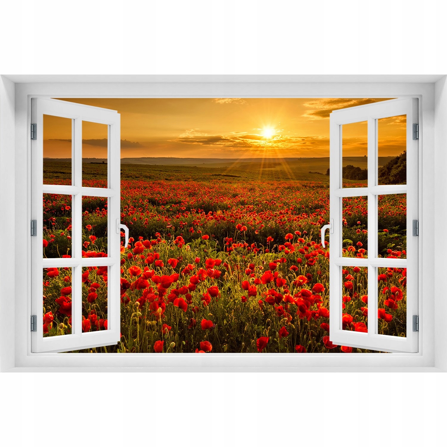 

Naklejka Fototapeta 3D Okno Pole maków 120x80
