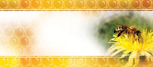 

Paczka etykiet mini (naklejka uniwersalna) 100szt