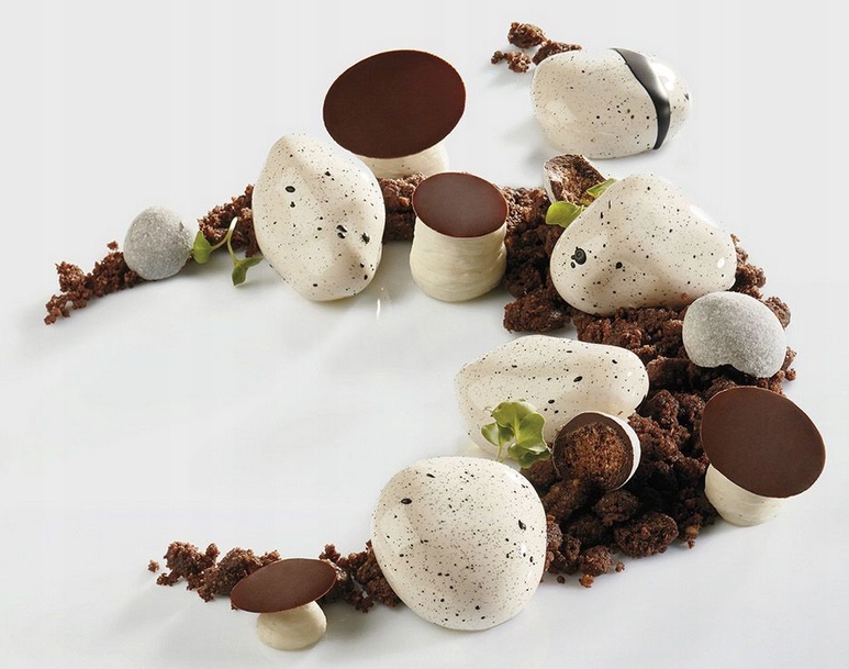 Forma silikonowa Pavoni Zen PX4326S kamień, różne kształty