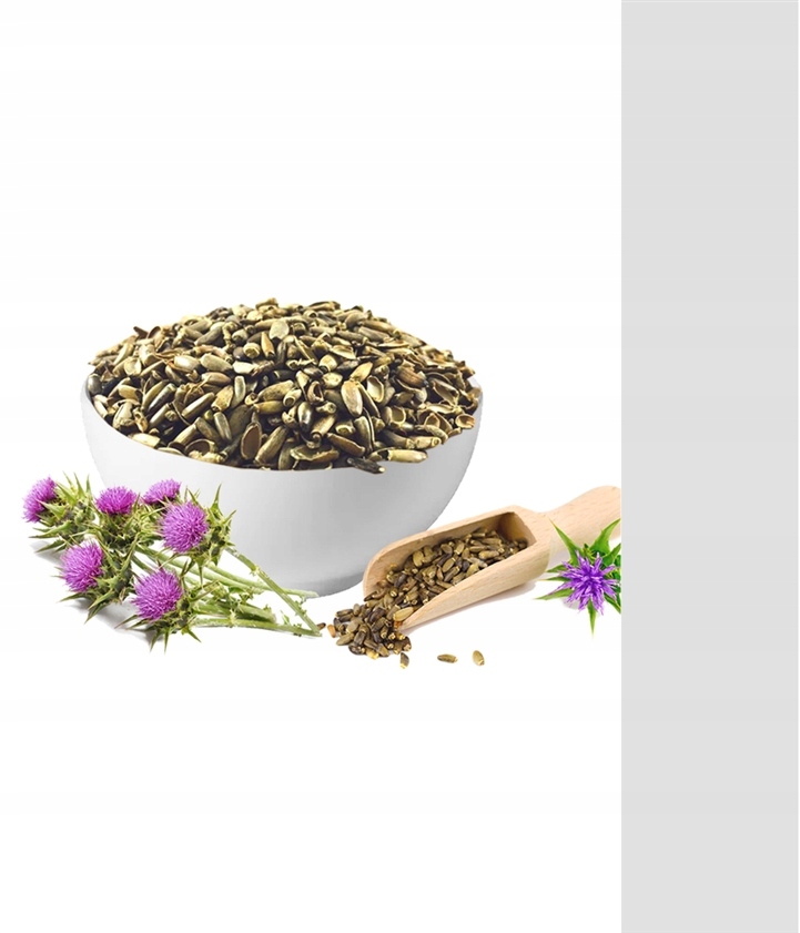 OSTROPEST PLAMISTY ZIARNO 1kg ŚWIEŻY ZBIÓR MrChef Marka Mr Chef