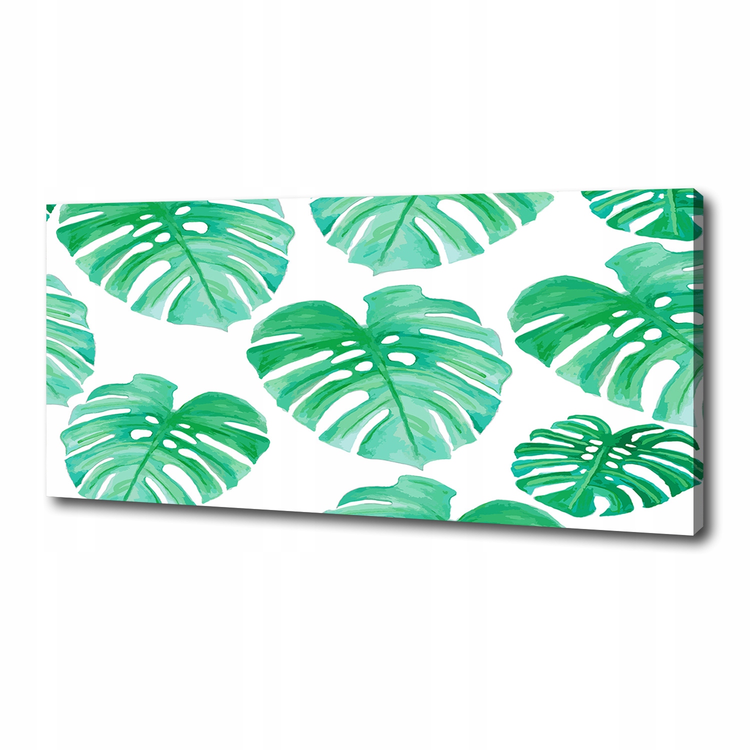 

Foto obraz canvas na ścianę Monstera 125x50 cm