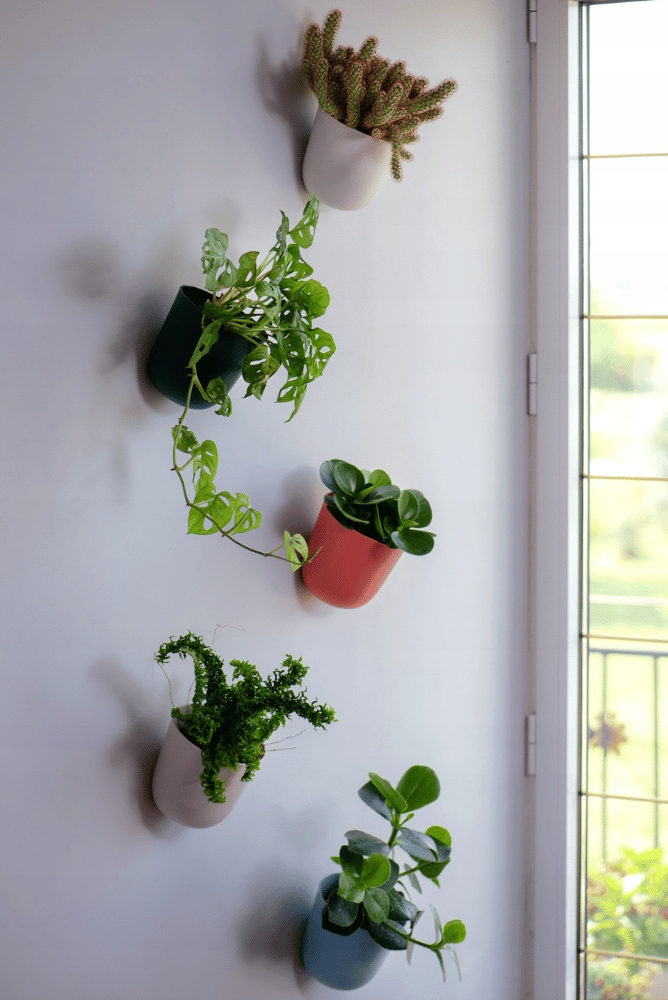 DONICZKA ŚCIENNA OKRĄGŁA SZARA OSŁONKA WISZĄCA PLASTIKOWA NA ZIOŁA ŚCIANĘ Wysokość produktu 15 cm