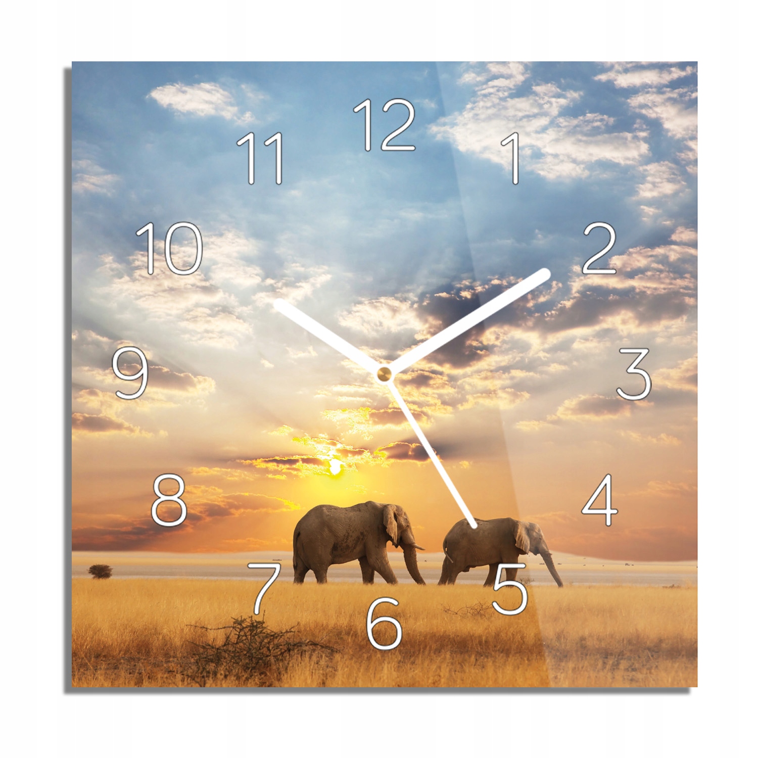

Słonie zachód trawa zegar szklany 30x30 na ścianę