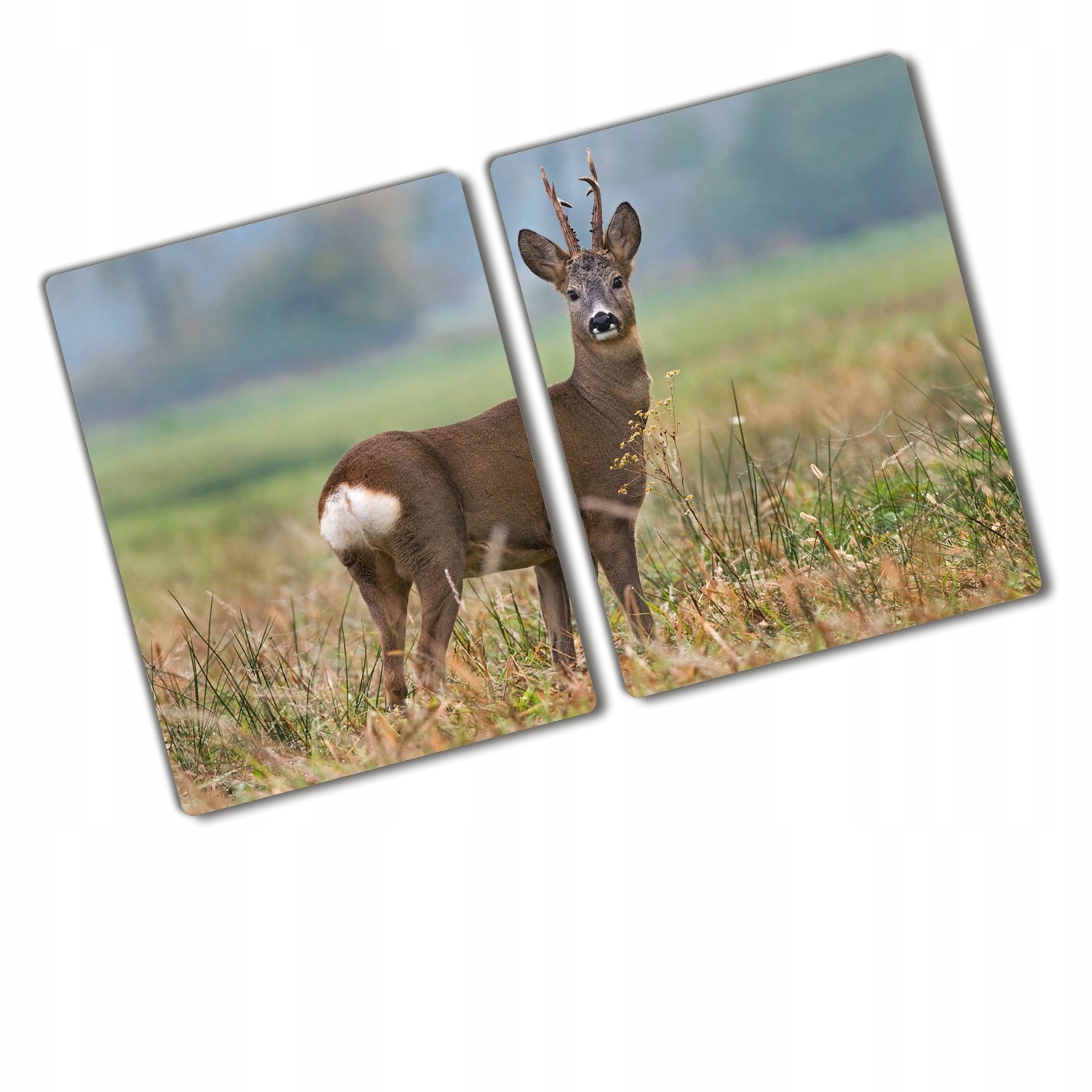 

Osłona indukcji szklana Sarna Zwierzęta 80x52