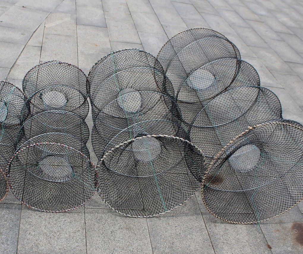 SIATKA WĘDKARSKA SKŁADANA POŁOW ŻYWCA KARAŚ RAK KRAB HOMAR KREWETKI 30x90cm Rodzaj siatka