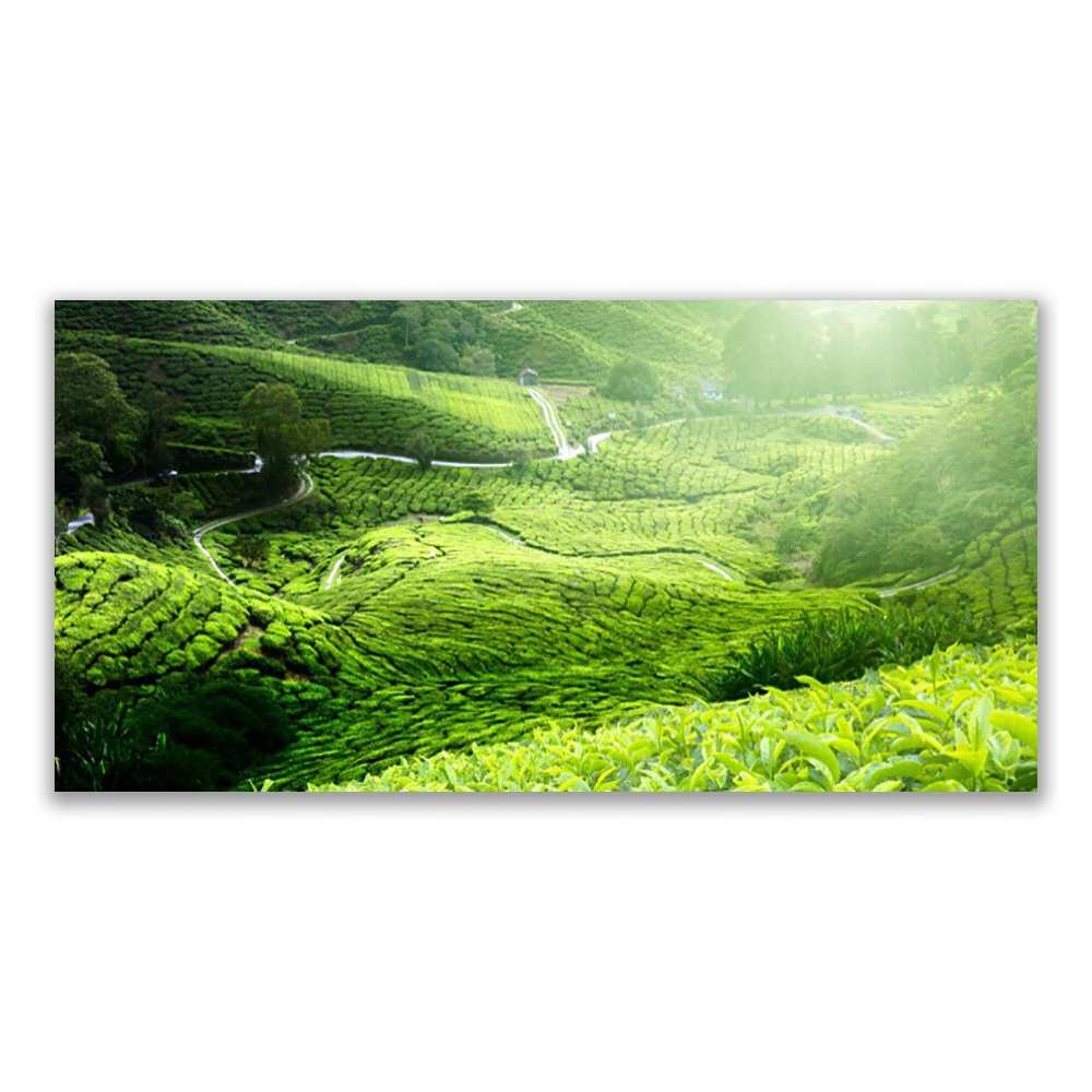 

Fotoobraz z nadrukiem wiszący 120x60 Łąka Natura