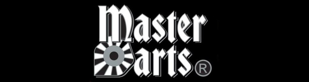 RZUTKI Lotki METALOWE do darta 3 szt. Master Darts Marka Master Darts