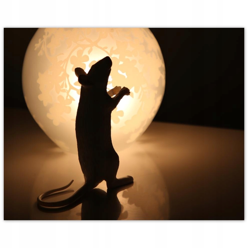 

Plakat 50x40 Zwierzęta Zwierzątka