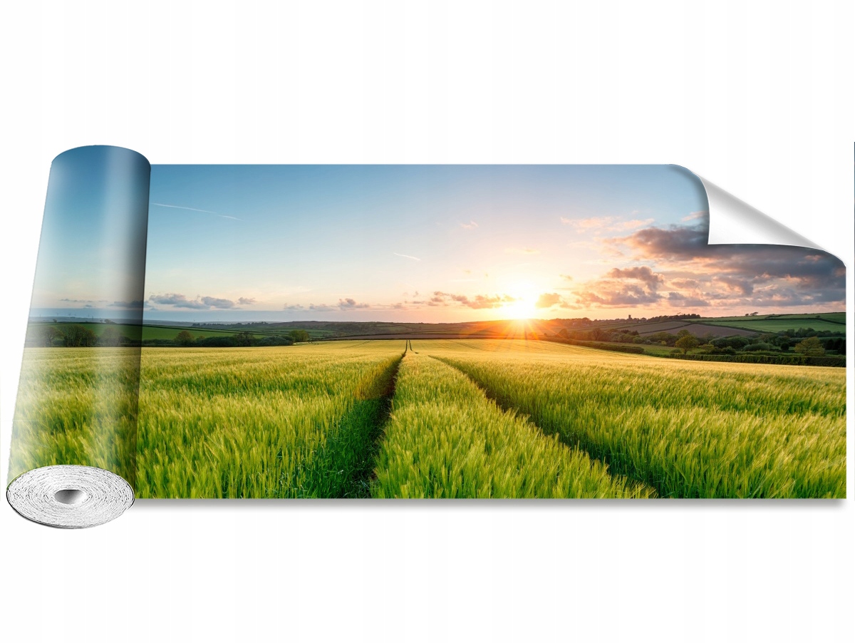 

Tapeta Samoprzylepna Jęczmień Pola 250x104
