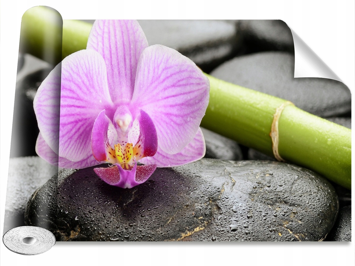 

Tapeta Samoprzylepna Orchidea Kamienie 416x254