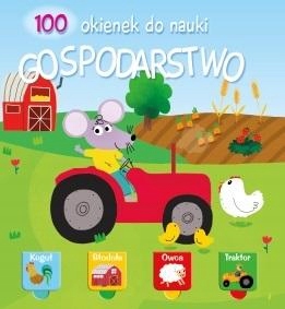

100 okienek 2 Gospodarstwo