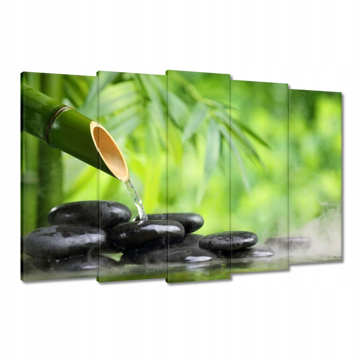 Obrazy 150x95 Sanus per aquam Zdroj