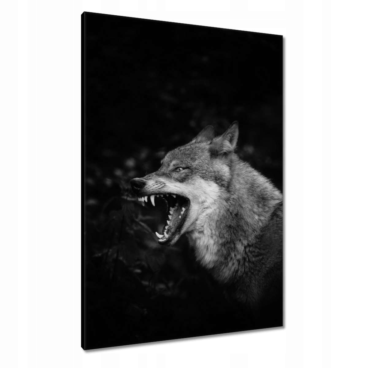 Obrazy 70x100 Příroda Lidstvo