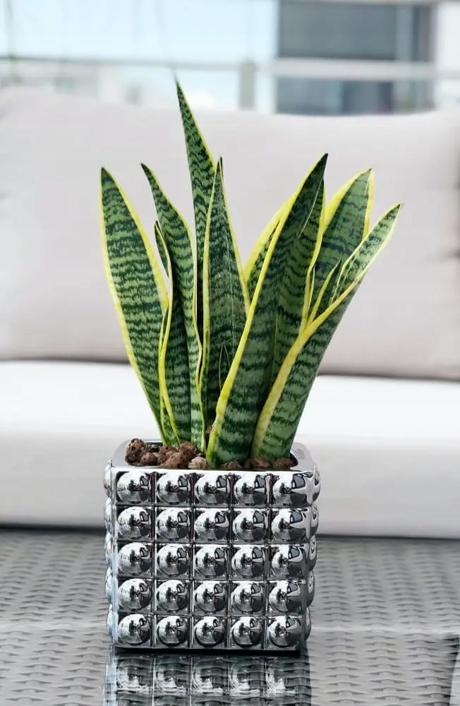 SREBRNA OSŁONKA DONICZKA CERAMICZNA MOON - KWADRAT 14X13 CM Materiał ceramika