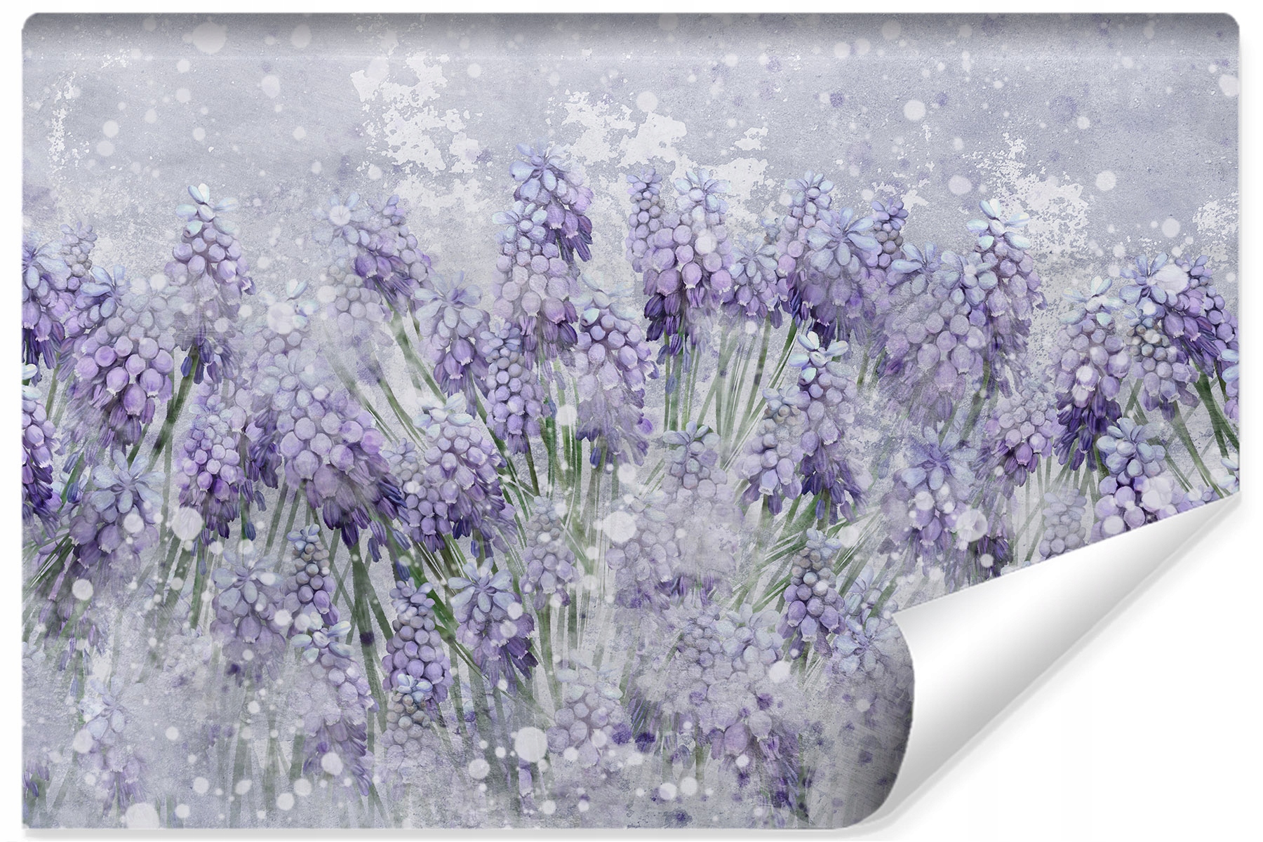 Fototapeta Hyacinty Květiny Akvarel Příroda 368x254