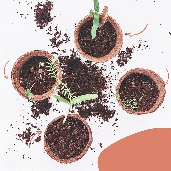 ZESTAW STARTOWY DO UPRAWY BONSAI DRZEWKA AKCESORIA Marka inna