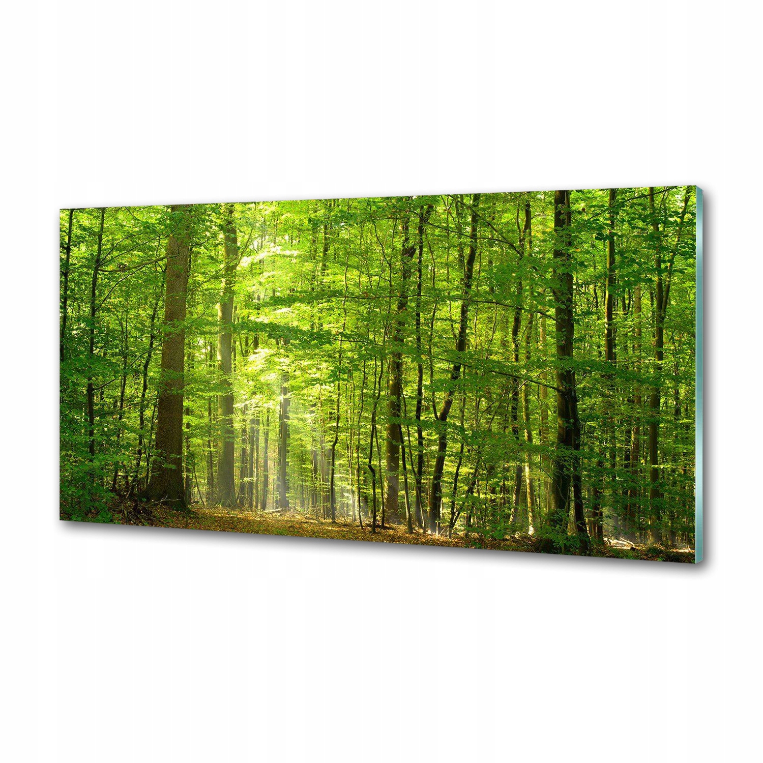 Panel do kuchyně Listnatý les 120x60 cm Lepidlo