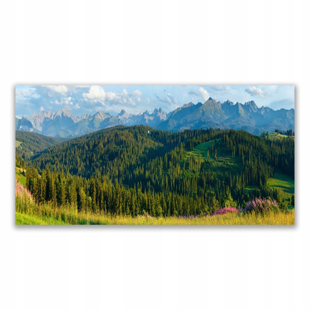 

Obraz akrylowy nowoczesny 140x70 Góra Las Przyroda