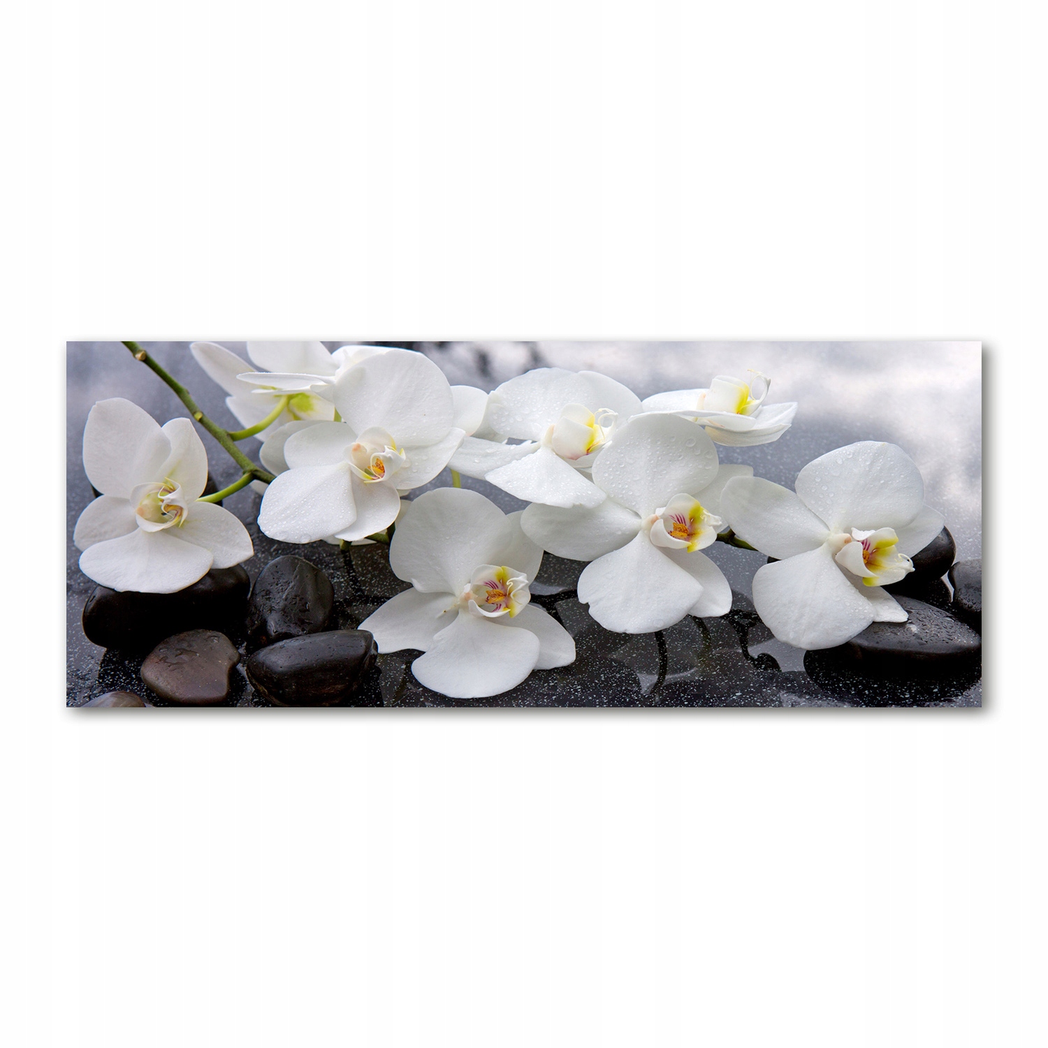 

Foto obraz duży akryl nowoczesny Orchidea 125x50cm