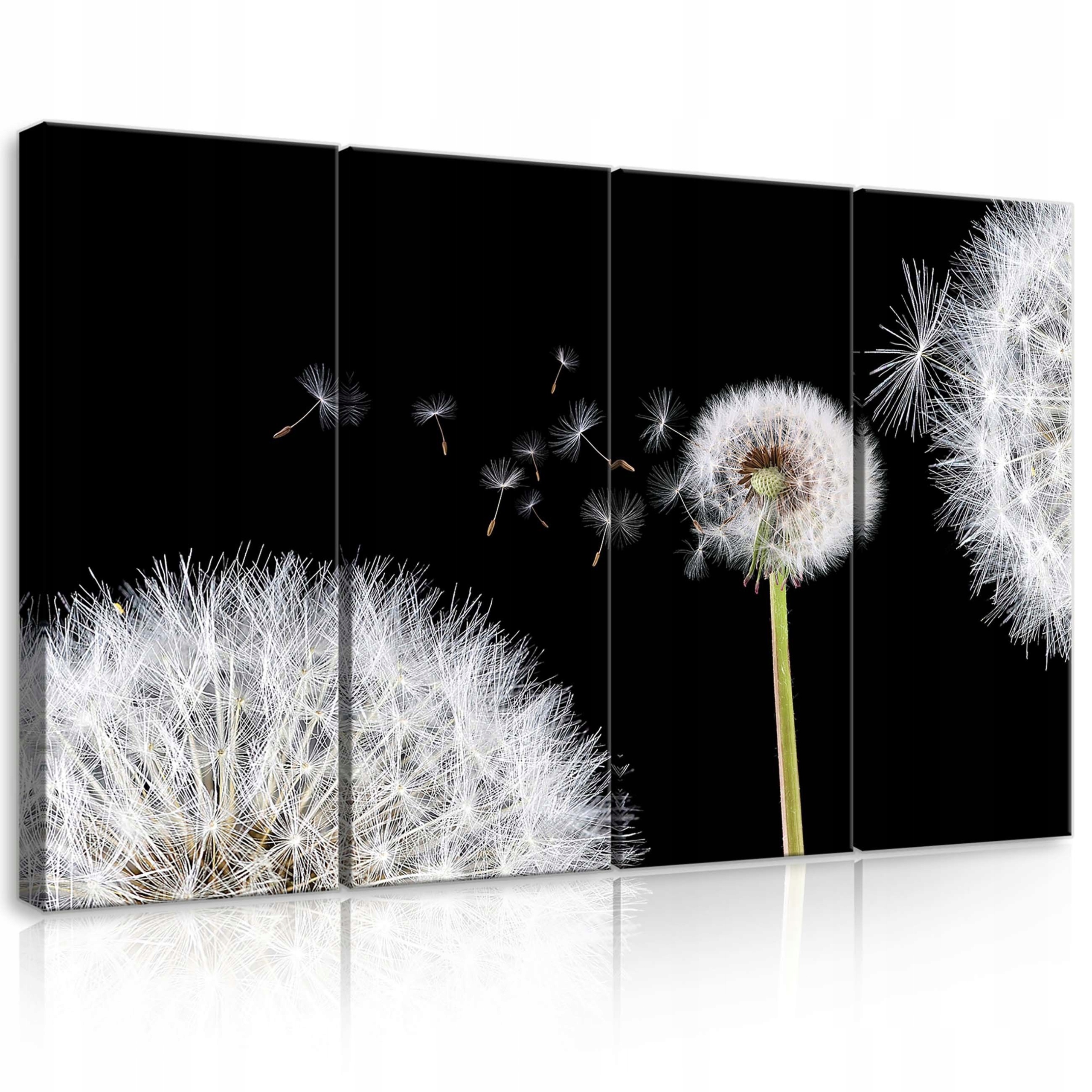 Obraz 120x80 Pampeliška lékařská semena pampeliška příroda léto lehkost