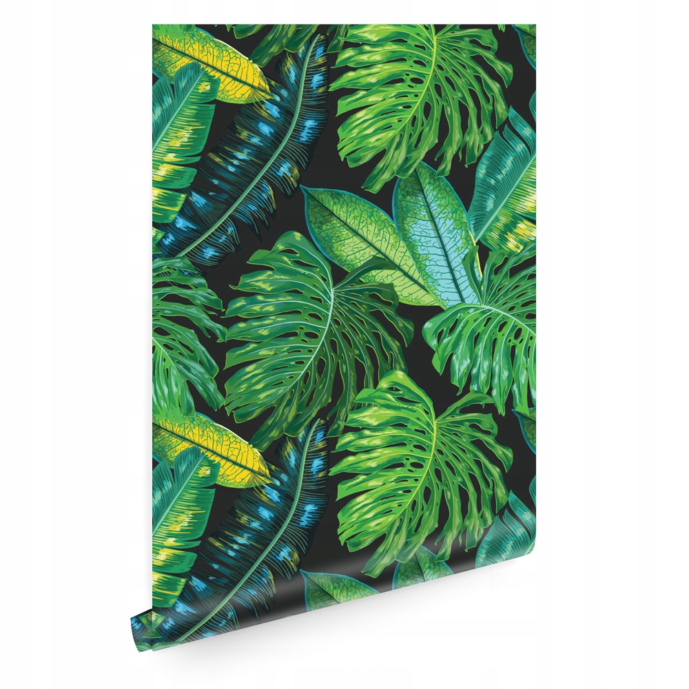

Tapeta liście jungle palma monstera T0145