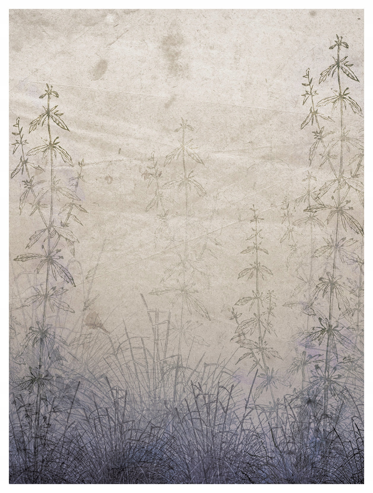 Fototapeta Tráva Minimalizmus Príroda Eko Boho Meditácia 184x254 Vinyl lepidlo