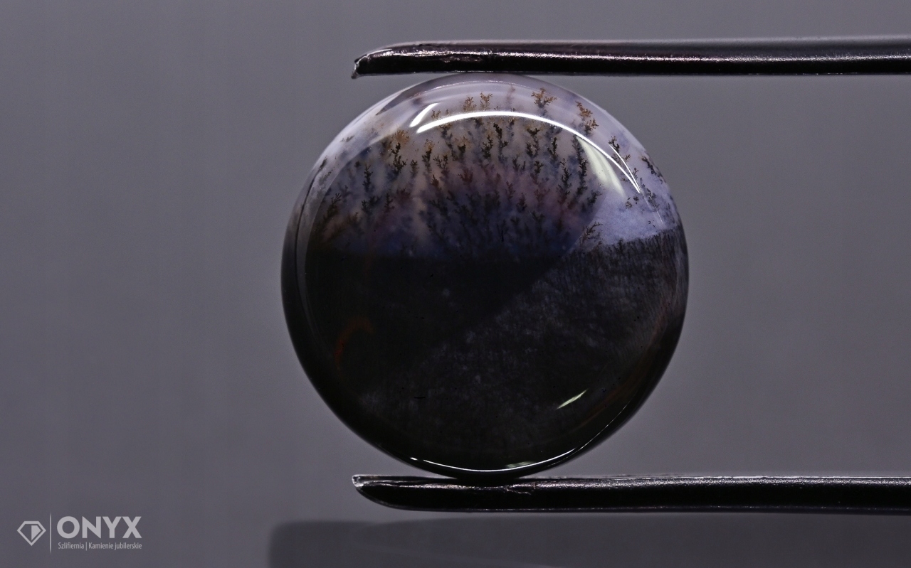 Dendritový achát z Kazachstánu konvexní mělký kruh