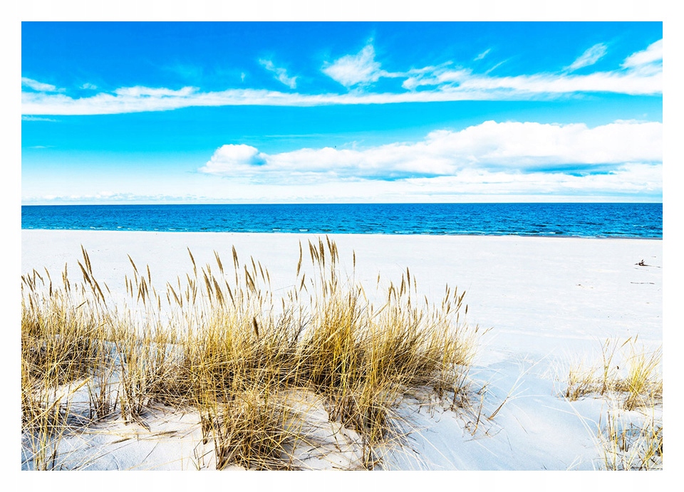 

Fototapeta 3D Morze Plaża Wydmy 368x254 F00745