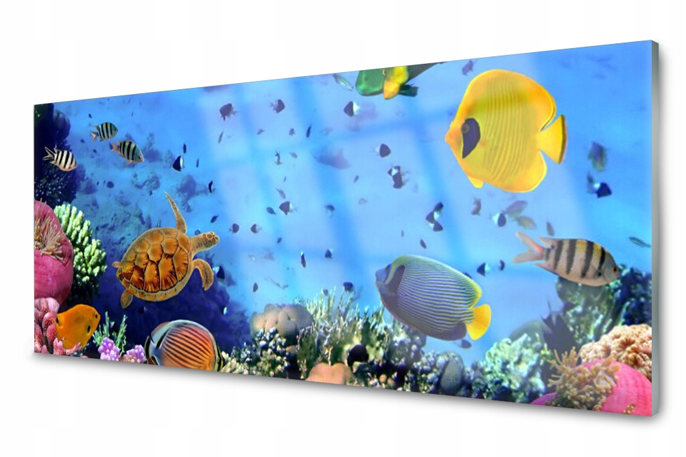 

Panel szklany do kuchni Rafa Koralowa Ryba 125x50