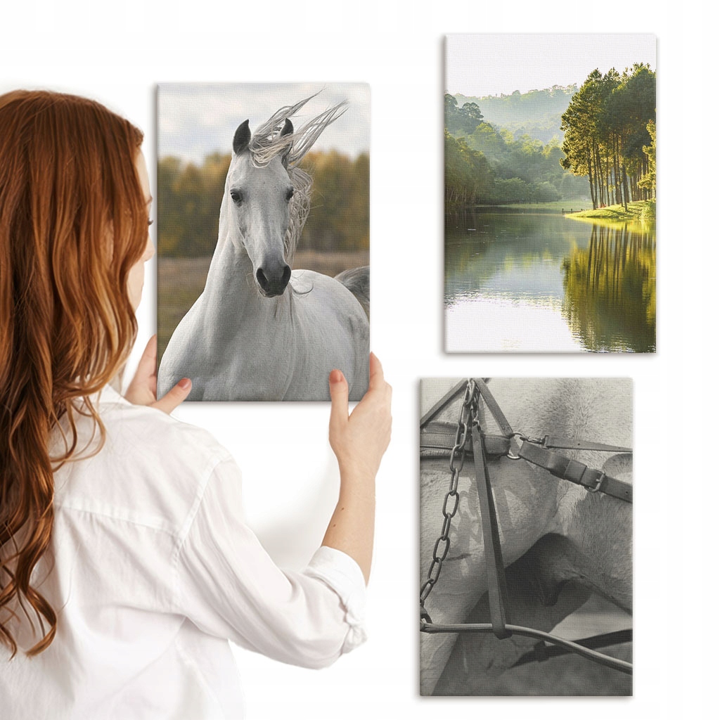 Galerie obrazů na plátně Set obrazů Bílí koně řeka příroda 3x 20x30 cm