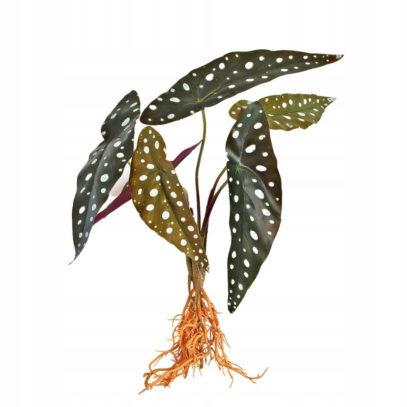 

Sztuczna roślina Uszy Słonia do terrarium 35 cm