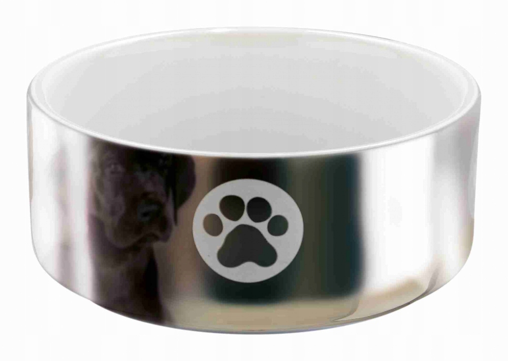 

Trixie Miska ceramiczna dla psa Srebrna 0,3L