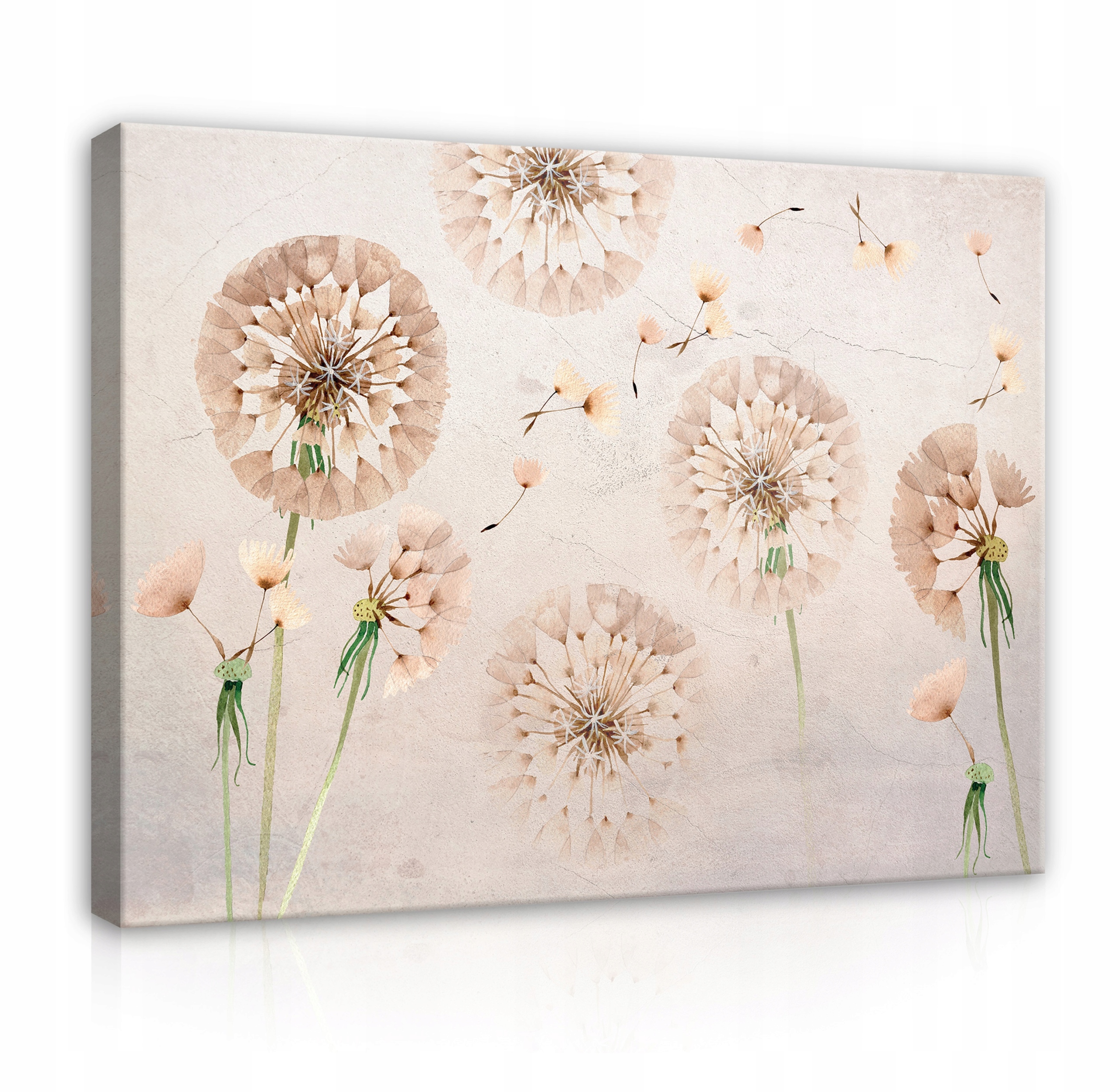 

Obraz Dmuchawce Na Płótnie Ścianę Sypialnia 60x40