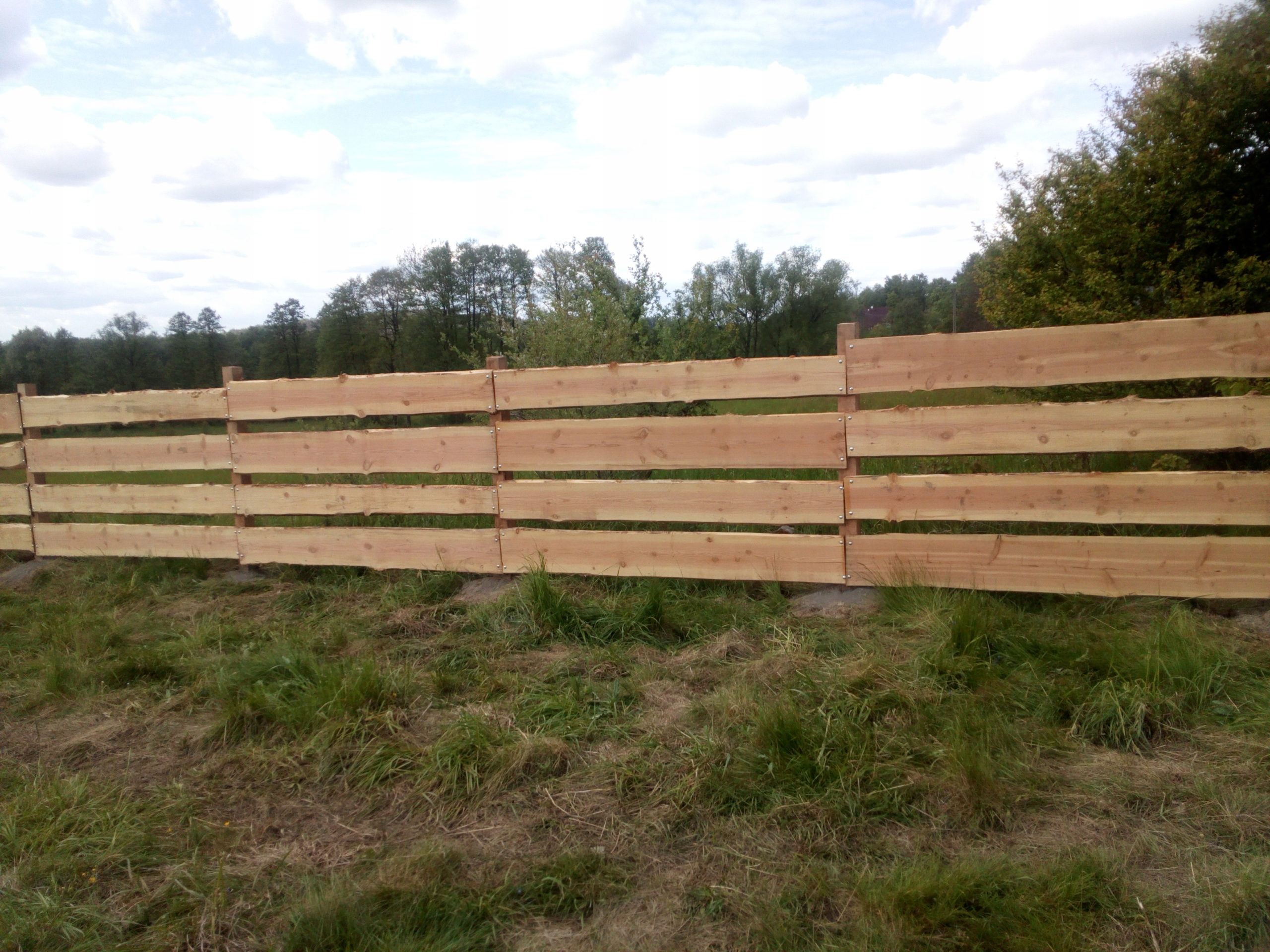 RANCZO deski na ogrodzenie DAGLEZJA lub Modrzew