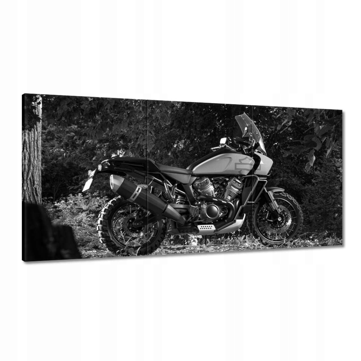 Obrazy 180x90 Harley Davidson Motocykel