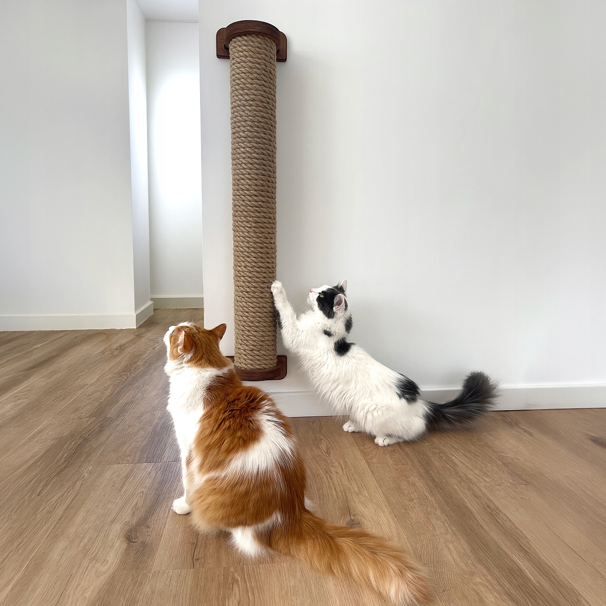 Levně Nástěnný škrabák pro kočky velký L 100 cm sloupek pro kočky, silné lano šrouby