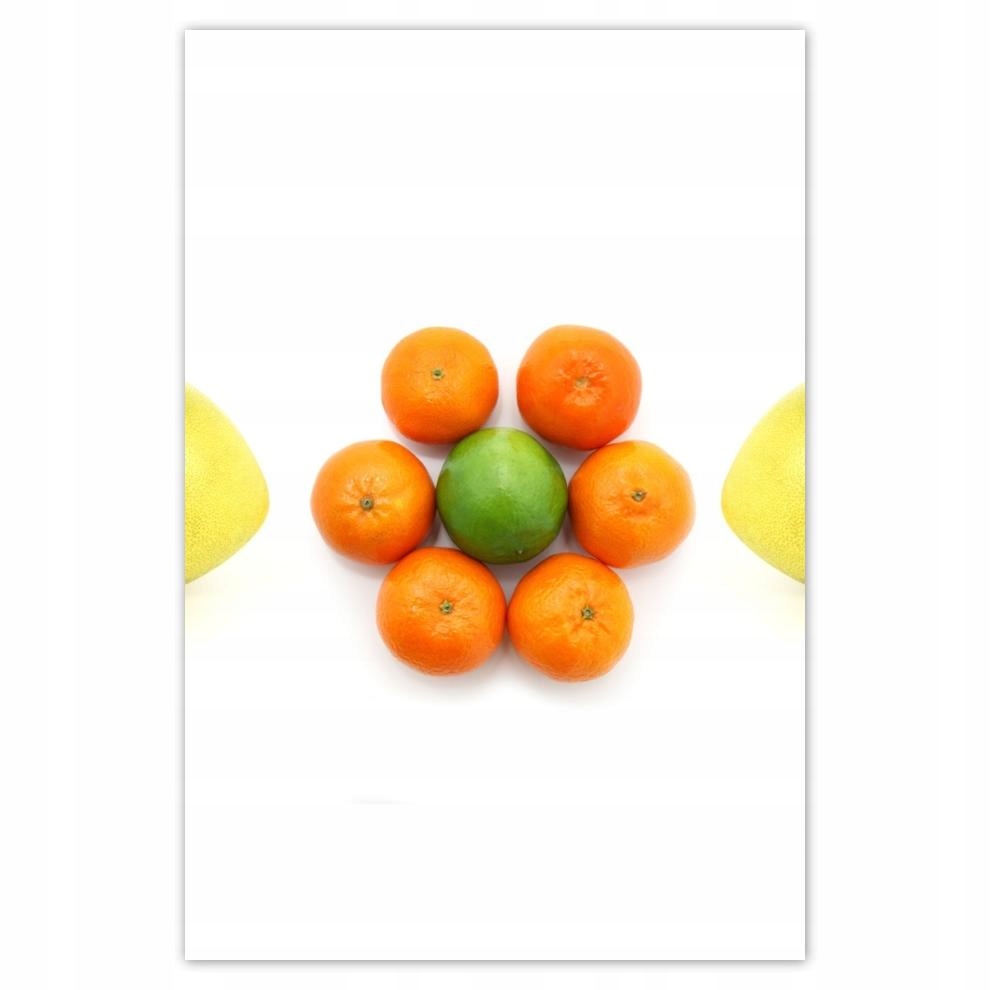 

Plakaty 40x60 Owoce cytrusowe